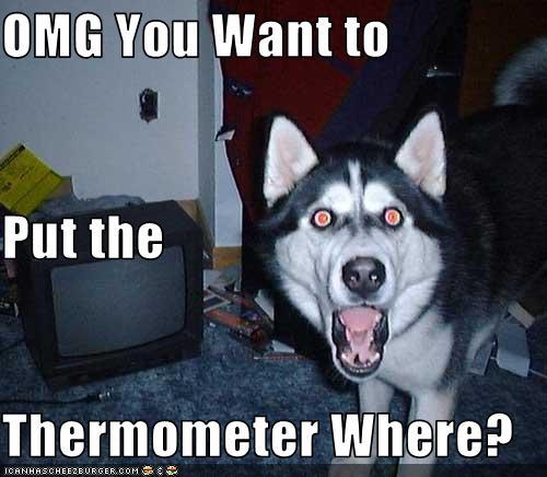 smile dog - Omg You Want to Put the Thermometer Where? Toanhascheezburger.Com