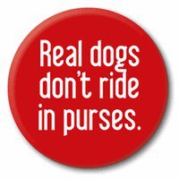 label - Real dogs don't ride in purses.