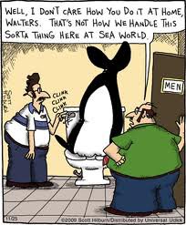 far side comics online - Well, I Don'T Care How You Do It At Home, Walters. That'S Not How We Handle This Sorta Thing Here At Sea World Men