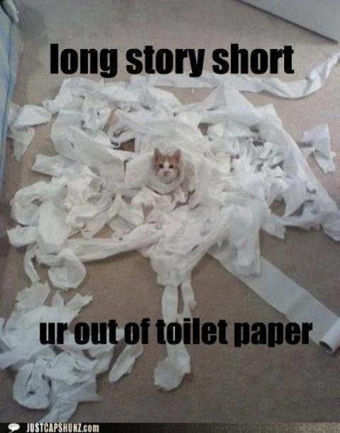 funny cat and dog jokes - long story short Zur out of toilet paper Justcapshunz.com