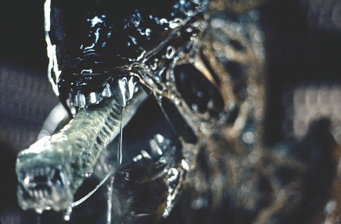 The slime used on the Alien was K-Y jelly. Shredded condoms were used to create tendons of the beast's ferocious jaws