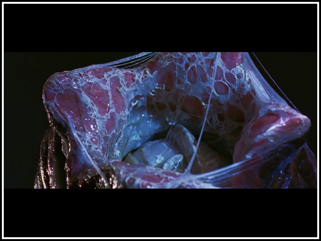 The inside of the alien eggs as seen by Kane was composed of real organic material. Director Ridley Scott used cattle hearts and stomachs. The tail of the facehugger was sheep intestine.