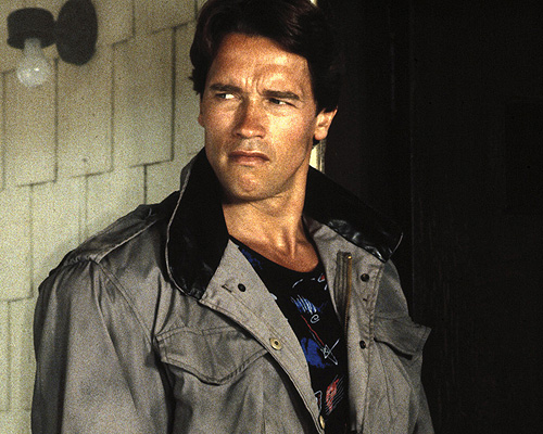 James Cameron included Arnold Schwarzenegger in a lot of his decisions on-set, e.g. the Terminator's hair had to look spiky and burned.