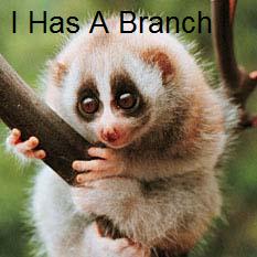 I Has A Branch