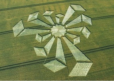 Amazing Crop Circles