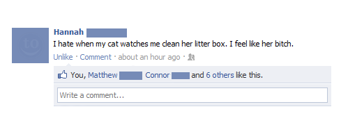 facebook - Hannah I hate when my cat watches me clean her litter box. I feel her bitch. Un. Comment about an hour ago You, Matthew C onnor and 6 others this. Write a comment...