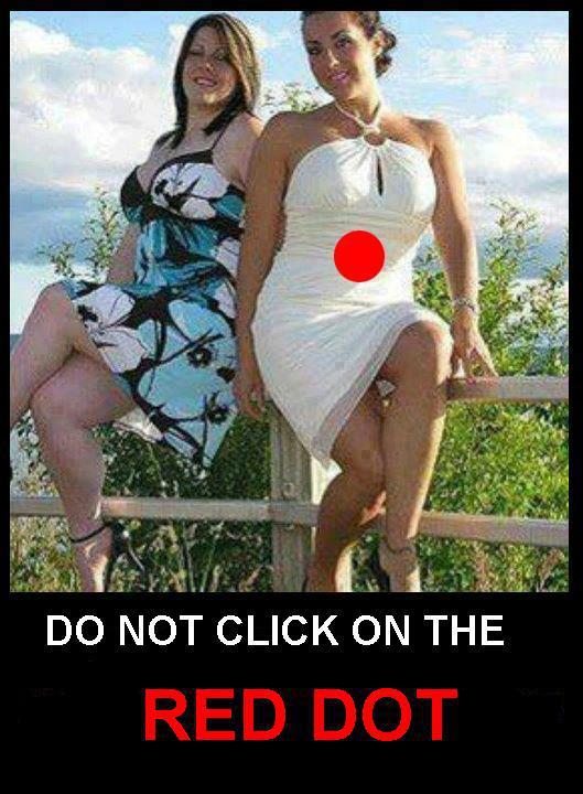 DO NOT CLICK ON THE RED DOT