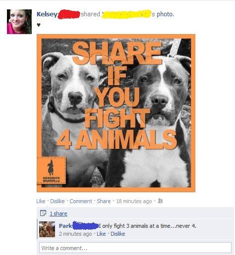 Facebook Wins and Fails