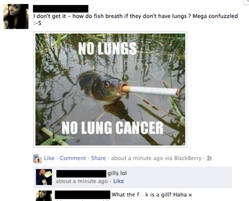 no lungs no lung cancer - I don't get it how do fish breath if they don't have lungs ? Mega confuzzled S No Lungsi No Lung Cancer Comment about a minute ago via BlackBerry gills lol about a minute ago What the f k is a gill? Haha x