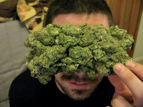Marijuana Aficionado