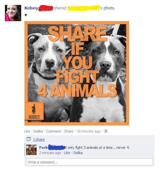 dog - Kelsey d 's photo. BIE1 Animal Dis . Comment 18 minutes ago. P 1 Park only fight 3 animals at a time...never 4. 2 minutes ago Dis Write a comment...