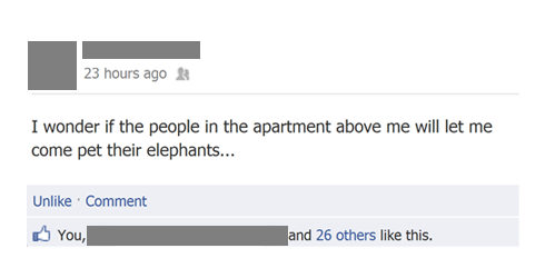 organization - 23 hours ago I wonder if the people in the apartment above me will let me come pet their elephants... Un Comment You, and 26 others this.