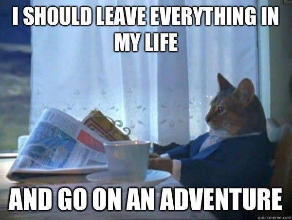 memes - need life meme - I Should Leave Everything In My Life And Go On An Adventure quickmeme.com
