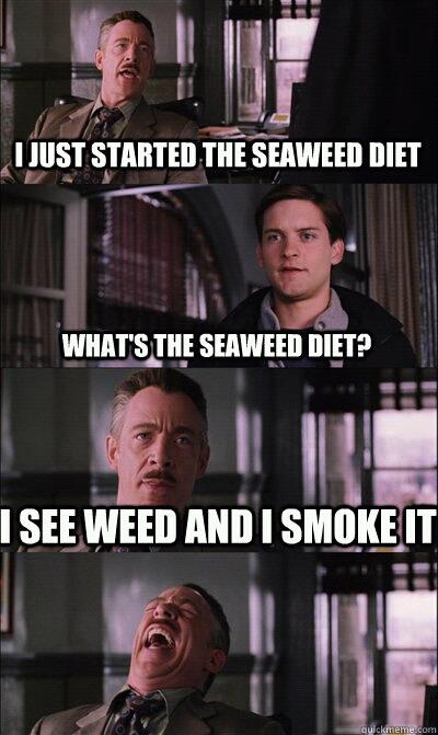 memes - new it movie memes - I Just Started The Seaweed Diet What'S The Seaweed Diet? I See Weed And I Smoke It Quickmeme.com