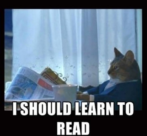 memes - should buy a boat cat - I Should Learn To Read