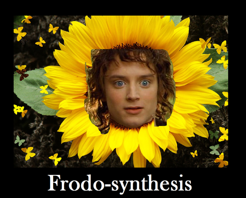 lord of the rings meme - Frodosynthesis