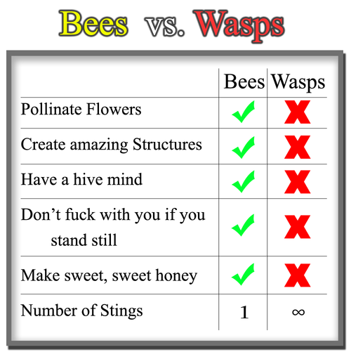 diagram - Bees vs. Wasps Bees Wasps X Pollinate Flowers Create amazing Structures Have a hive mind Don't fuck with you if you stand still x Make sweet, sweet honey Number of Stings 10