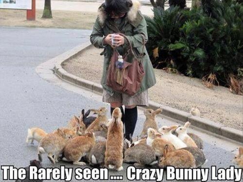 crazy bunny lady meme - The Rarely seen ..Crazy Bunny Lady