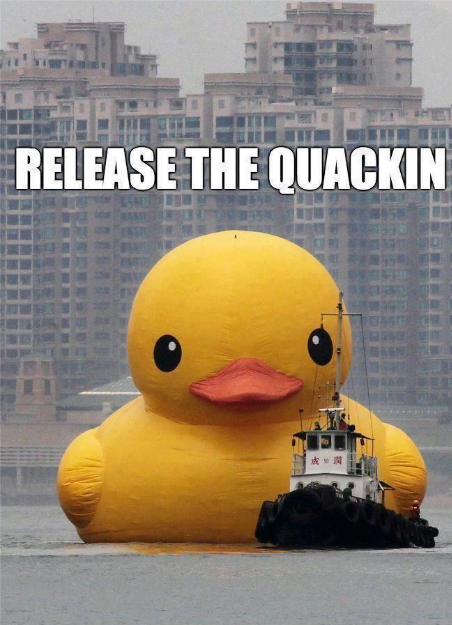 memes - release the quacken - Tele Release The Quackin
