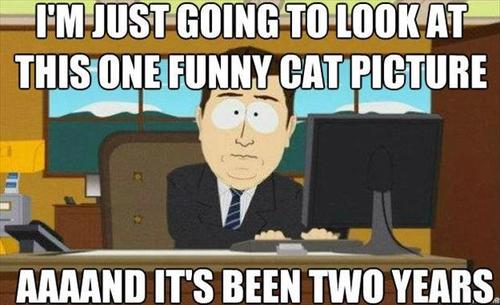 memes - santiago bernabéu stadium - I'M Just Going To Look At This One Funny Cat Picture Aaaand It'S Been Two Years.