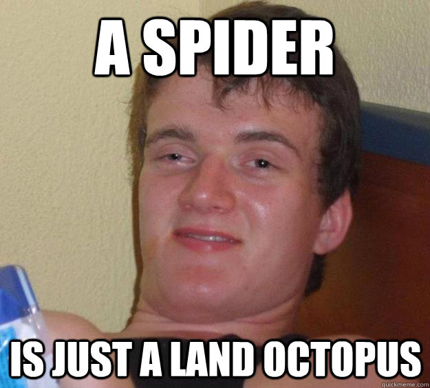 memes - new years meme 2019 - Aspider Is Just A Land Octopus quickmeme.com