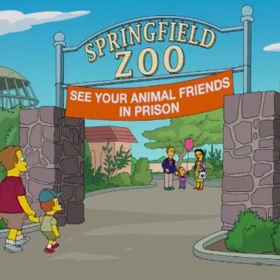 see your animal friends in prison - Dringfield Zoo See Your Animal Fried In Prison Mal Friends