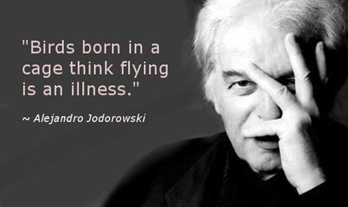 "Birds born in a cage think flying is an illness." ~ Alejandro Jodorowski