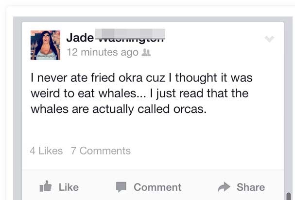 web page - Jade Fortyor 12 minutes ago & I never ate fried okra cuz I thought it was weird to eat whales... I just read that the whales are actually called orcas. 4 7 I Comment