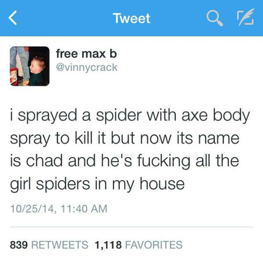 tweet - angle - Tweet a nd . free max b i sprayed a spider with axe body spray to kill it but now its name is chad and he's fucking all the girl spiders in my house 102514, 839 1,118 Favorites