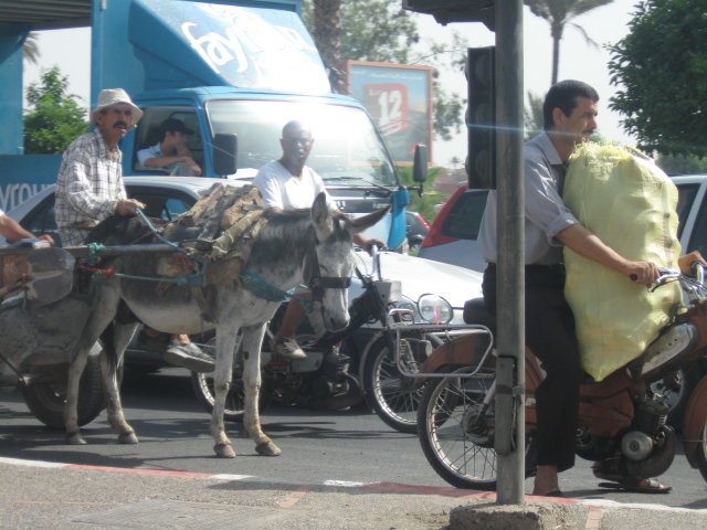 lol, traffic in Morocco.... the diversity of transportation too