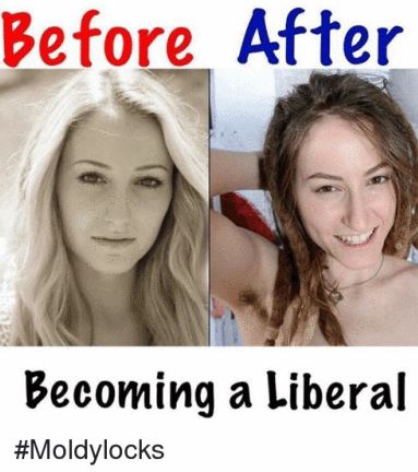 liberals before and after - Before After Becoming a Liberal