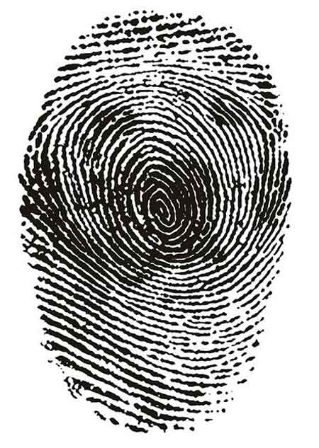 Fingerprint Illusions