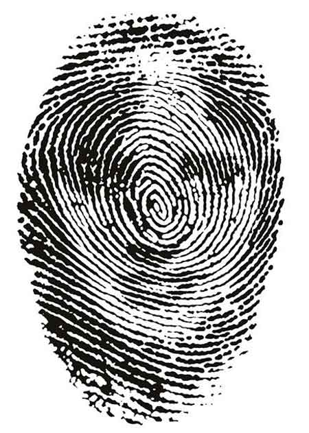 Fingerprint Illusions