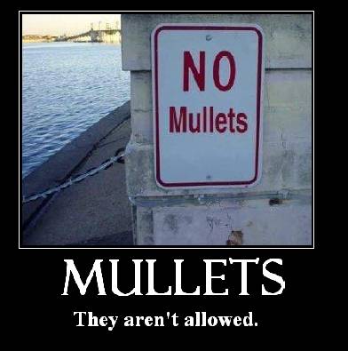 Mullets