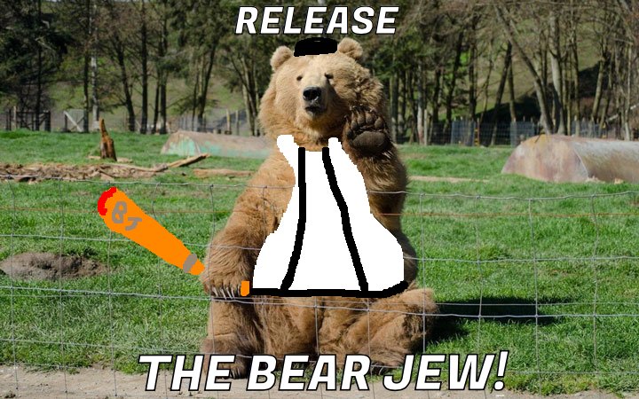 Donny "The Bear Jew" Donowitz is a member of The Basterds. He was nicknamed The Bear Jew for his notoriety of using baseball bats to smash the heads of the commanders in The Basterds' numerous assaults on the Army around Nazi-occupied France.