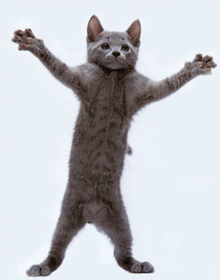 Kitty Cat that Dances