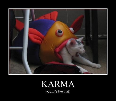 funny karma - Karma yup...it's that!