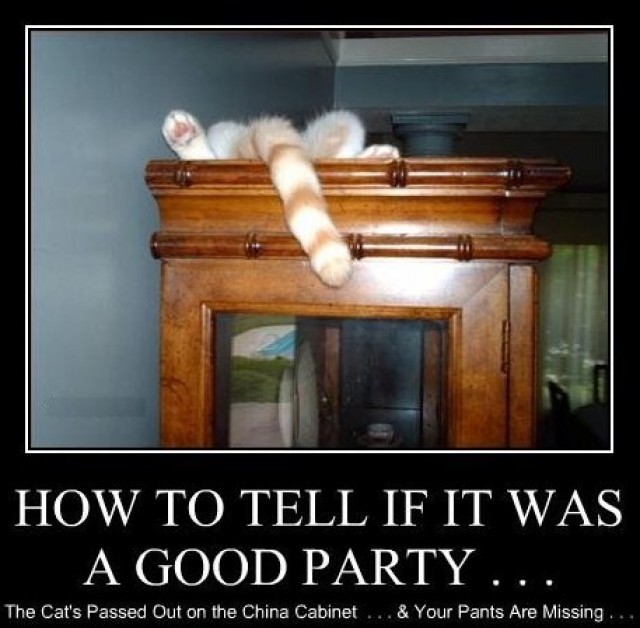 day after party funny - How To Tell If It Was A Good Party... The Cat's Passed Out on the China Cabinet ... & Your Pants Are Missing ...
