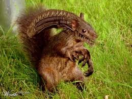 Funny Alien Squirrel