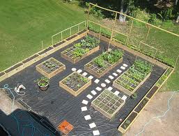 Vegetable garden grow your own food