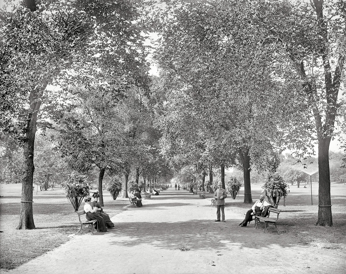 020  1900  Chicago . "A walk in Lincoln Park "