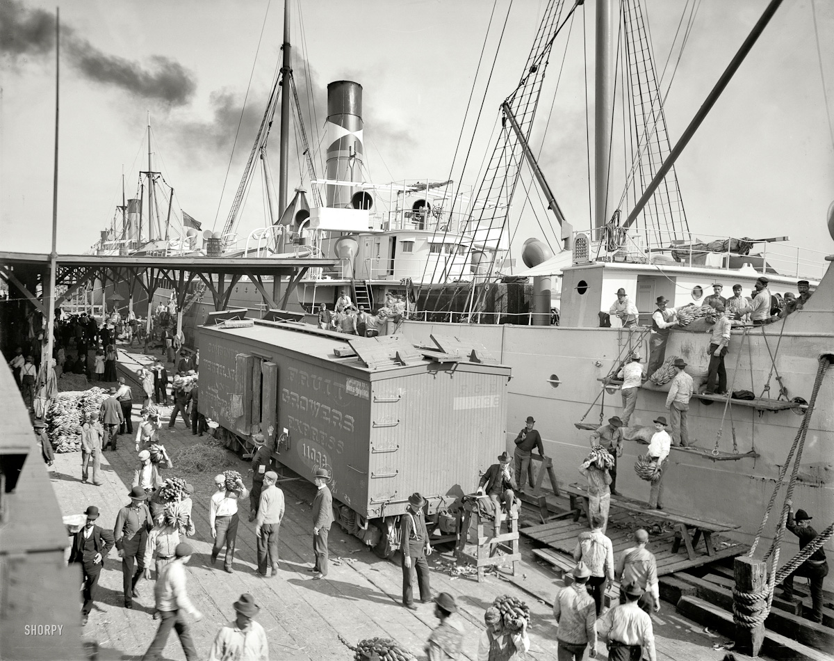 033  1903  "Unloading bananas at New Orleans , Louisiana "
