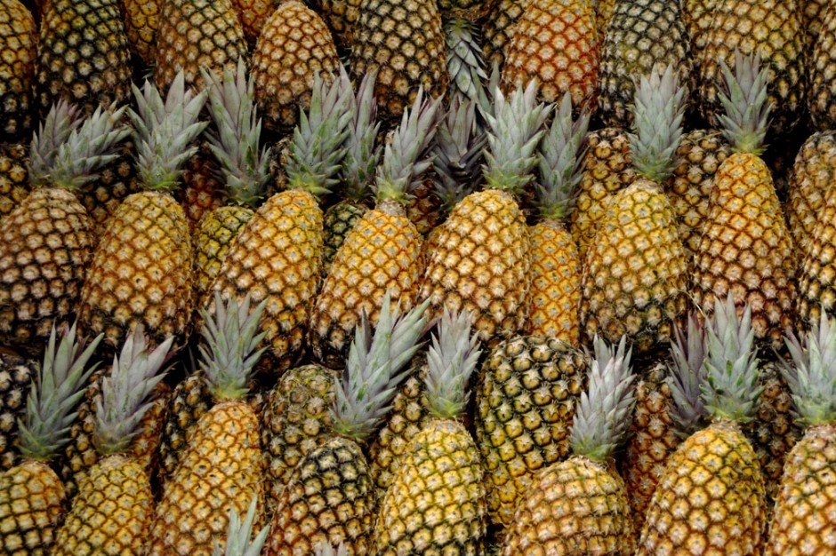 It is a multiple fruit. One pineapple is actually made up of dozens of individual floweret's that grow together to form the entire fruit. Each scale on a pineapple is evidence of a separate flower.