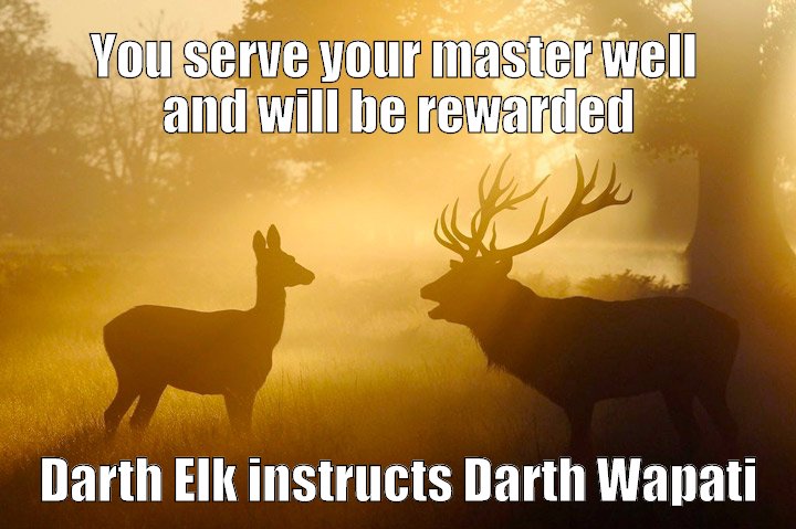 The evil Elk conspire to hatch their plan