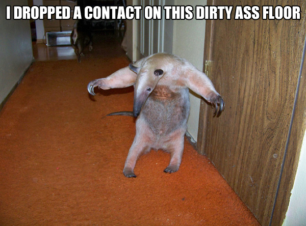 Monday Night Randomness