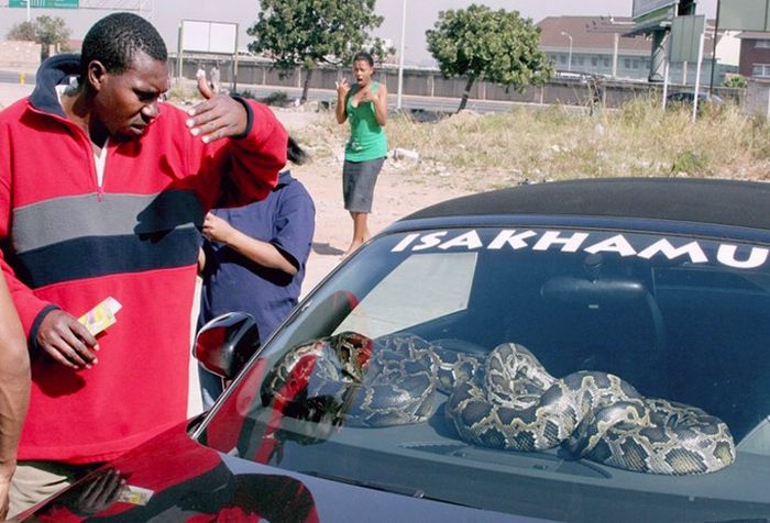 Monday Night Randomness