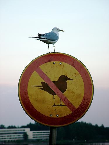 what a rebel.