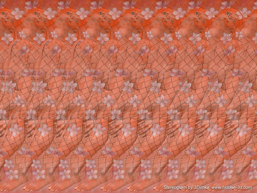 Adult stereogram