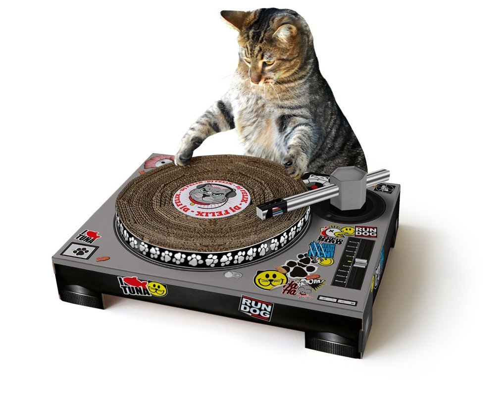 <a href="http://ebaum.it/kittyDJ" target="_blank">Kitty DJ Scratch Table - $47.75</a>