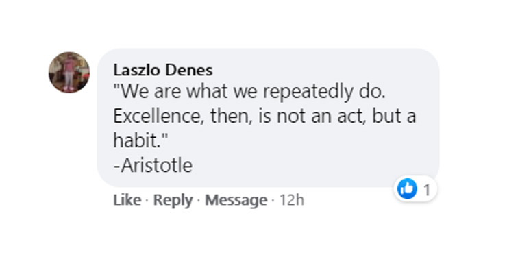 profound quotes - diagram - Laszlo Denes "We are what we repeatedly do. Excellence, then, is not an act, but a habit." Aristotle Message 12h 1